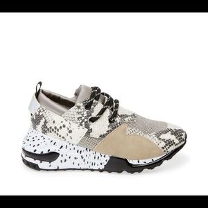 Steve Madden Animal Print Shoes